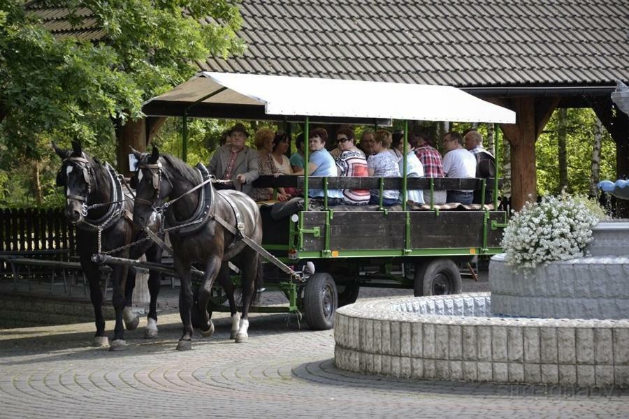 Park Lesny 'U Kaczyny' Hotell Rogow Exteriör bild